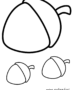 Acorns