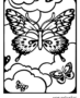 Butterflies in a window