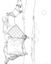 Camel and Egyptian pyramids