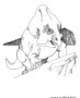 Dinosaur: Protoceratops