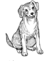 Listening dog