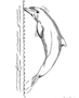 Jumping dolphin