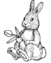 Rabbit with a flower