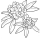 Rhododendron flower