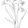 Flowers and stems