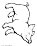 Happy pig