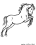 Jumping horse