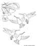 Hummingbirds