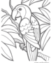 Tropical parrot