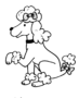 Poodle dog