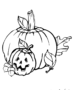 Pumpkin and Jack O Lantern