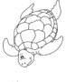 Swimming turtle