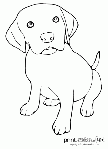 lab puppies coloring pages - photo #6