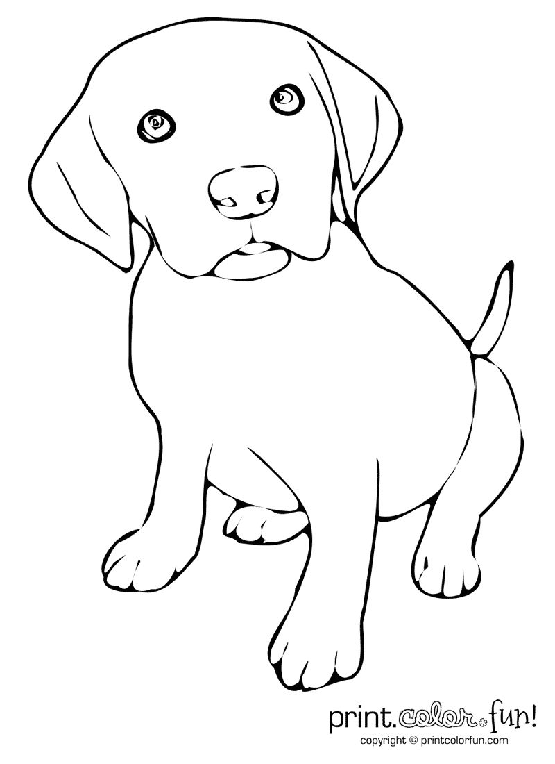 Cute Puppy Coloring Pages / Cute Puppy Coloring Page - A Free Animal