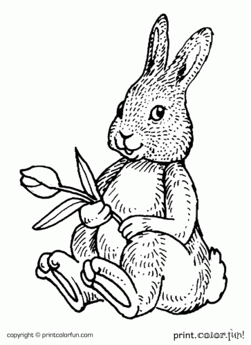 Rabbit with a flower coloring page - Print. Color. Fun!