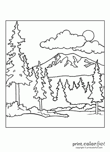 Forest scene coloring page - Print. Color. Fun!