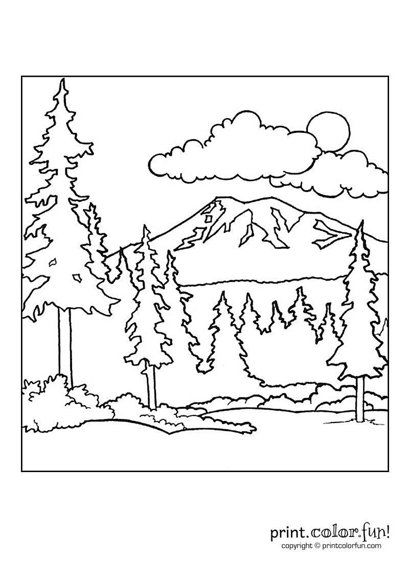 Forest Scene Coloring Page Print Color Fun 