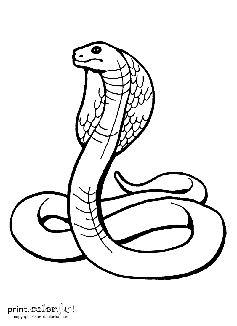 zoo snake coloring pages - photo #26