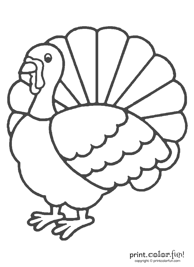 Thanksgiving turkey coloring coloring page Print Color