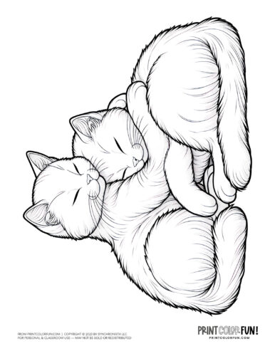 2 cuddle cats coloring page clipart from PrintColorFun com (2)
