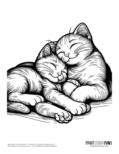 2 cuddle cats coloring page clipart from PrintColorFun com (3)