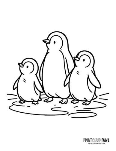 3 penguins coloring page from PrintColorFun com