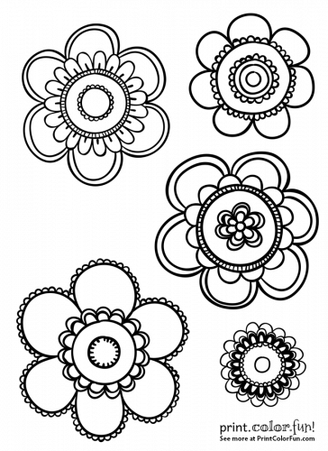 5 festive flowers