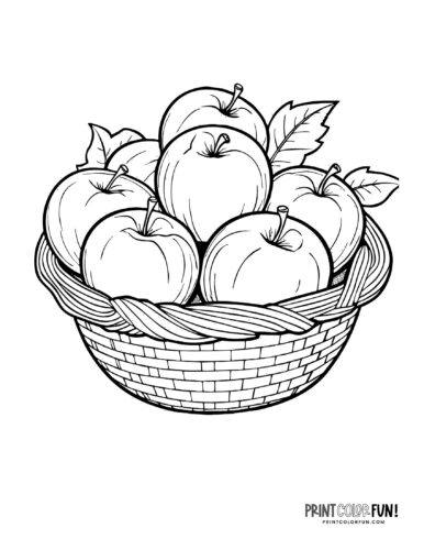 A basket of fresh-picked apples coloring page at PrintColorFun com