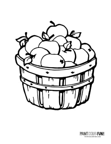 A bucket of apples coloring page at PrintColorFun com