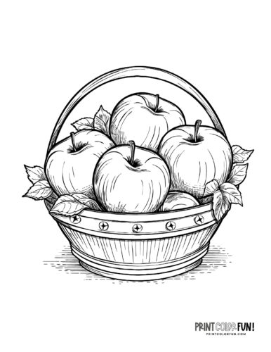 A pretty basket of apples coloring page at PrintColorFun com