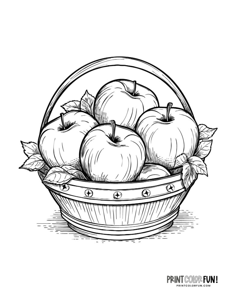 23 apple clipart & coloring pages to celebrate the autumn apple season, at PrintColorFun.com