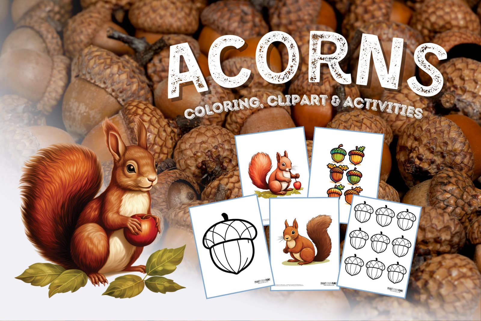 Acorn and squirrel clipart and coloring pages from PrintColorFun com