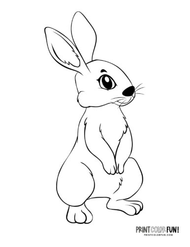 Adorable rabbit coloring printable