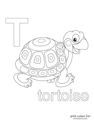 Alphabet letter T Tortoise - Cute animal coloring page
