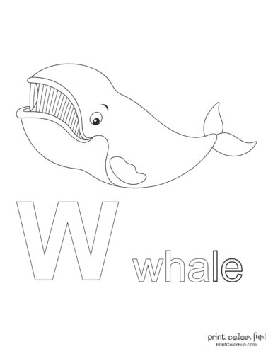 Alphabet letter W Whale - Cute animal coloring page