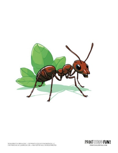 Ant clipart drawing from PrintColorFun com 1