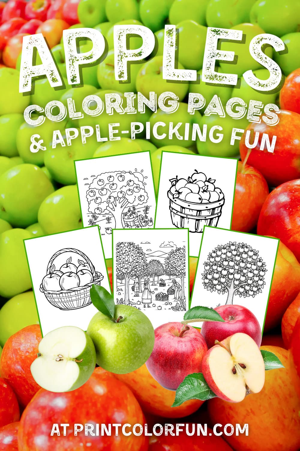 Apple clip art and coloring pages plus picking fruit at PrintColorFun com
