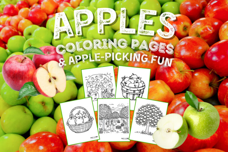 Apple coloring pages and clipart from PrintColorFun com