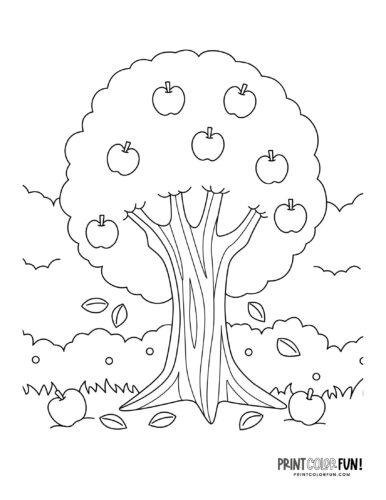Apple tree in autumn coloring page at PrintColorFun com