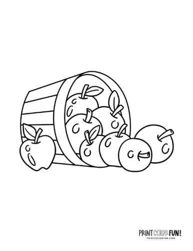 Apples in a barrel bucket coloring page at PrintColorFun com