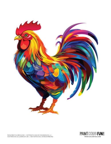 Artistic rooster color clipart from PrintColorFun com (2)