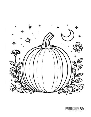 Autumn pumpkin - coloring page from PrintColorFun com