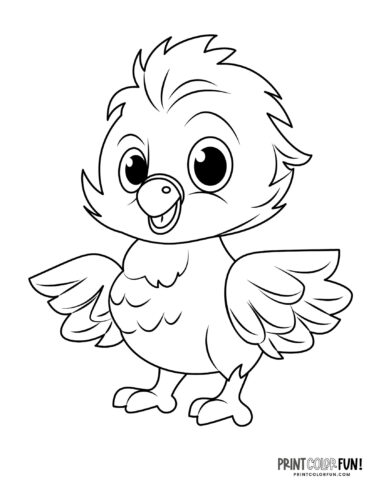 Baby chick coloring clipart from PrintColorFun com 1
