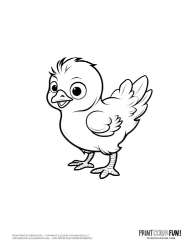 Baby chick coloring clipart from PrintColorFun com 3