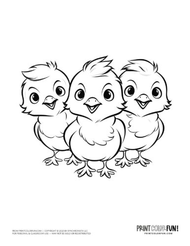 Baby chick coloring clipart from PrintColorFun com 6
