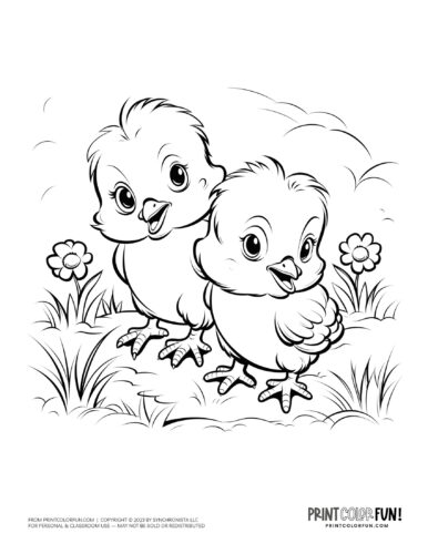 Baby chick coloring clipart from PrintColorFun com 7