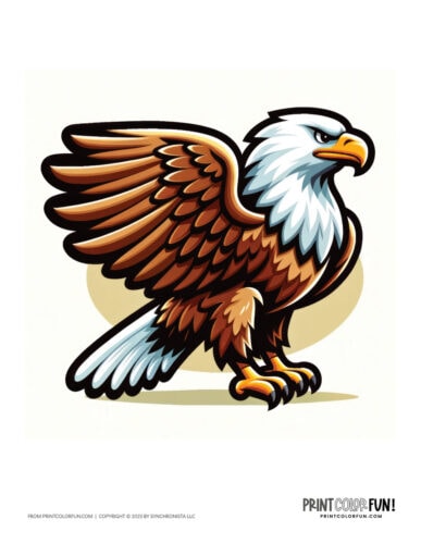 Bald eagle bird color clipart from PrintColorFun com 1