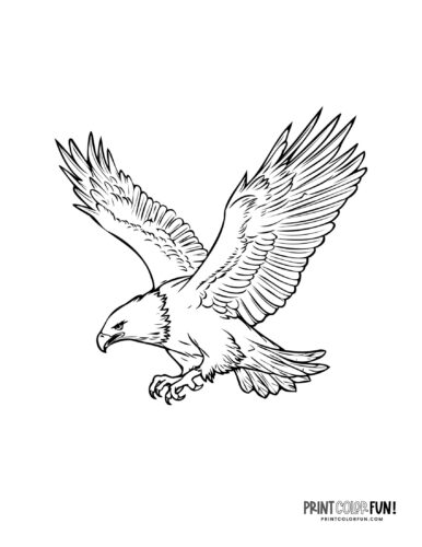 Bald eagle flying coloring page clipart from PrintColorFun com