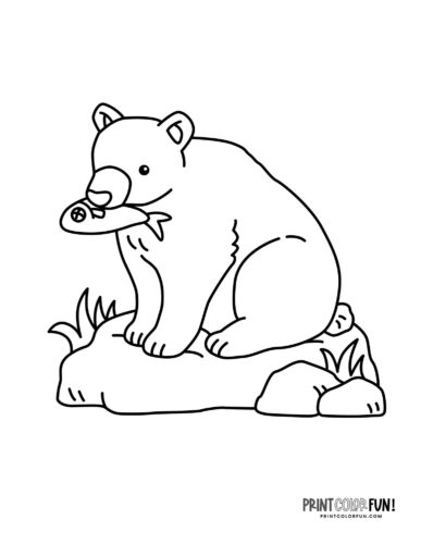 Bear catching a fish by a river coloring page - PrintColorFun com