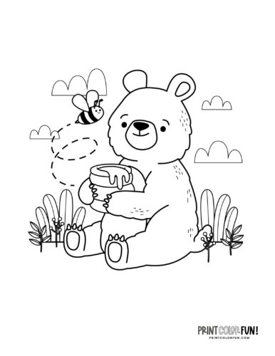 Bear coloring page drawing from PrintColorFun com (1)